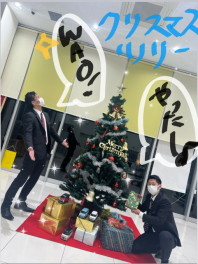 クリスマスツリーが立ちました☆